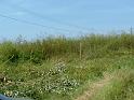 Picture 002